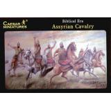 Assyrian Cavalry (Ассирийские кавалеристы) (CMH010) Масштаб:  1:72
