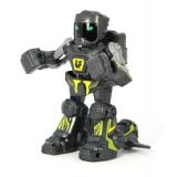 Робот на и/к управлении Boxing Robot W101 (серый) (W101g)