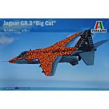 Истребитель-бомбардировщик Jaguar Gr.3 "Big cat"