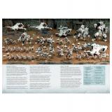ARMIES OF EXPANSION: TAU PAINT GUIDE ENG